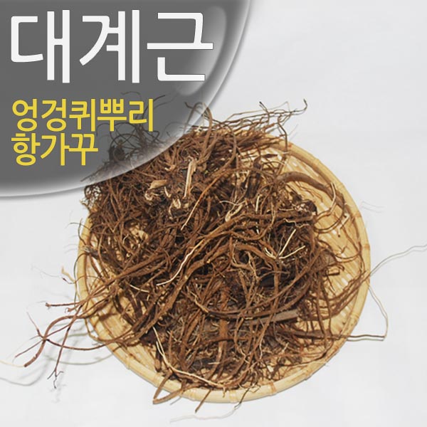 엉겅퀴뿌리(대계근/항가꾸뿌리/한가꾸뿌리)200g(1인 1개월분량)