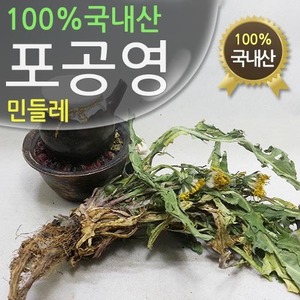 청정지역 국내산 포공영근(민들레뿌리) 300g