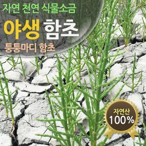건함초(퉁퉁마디)300g